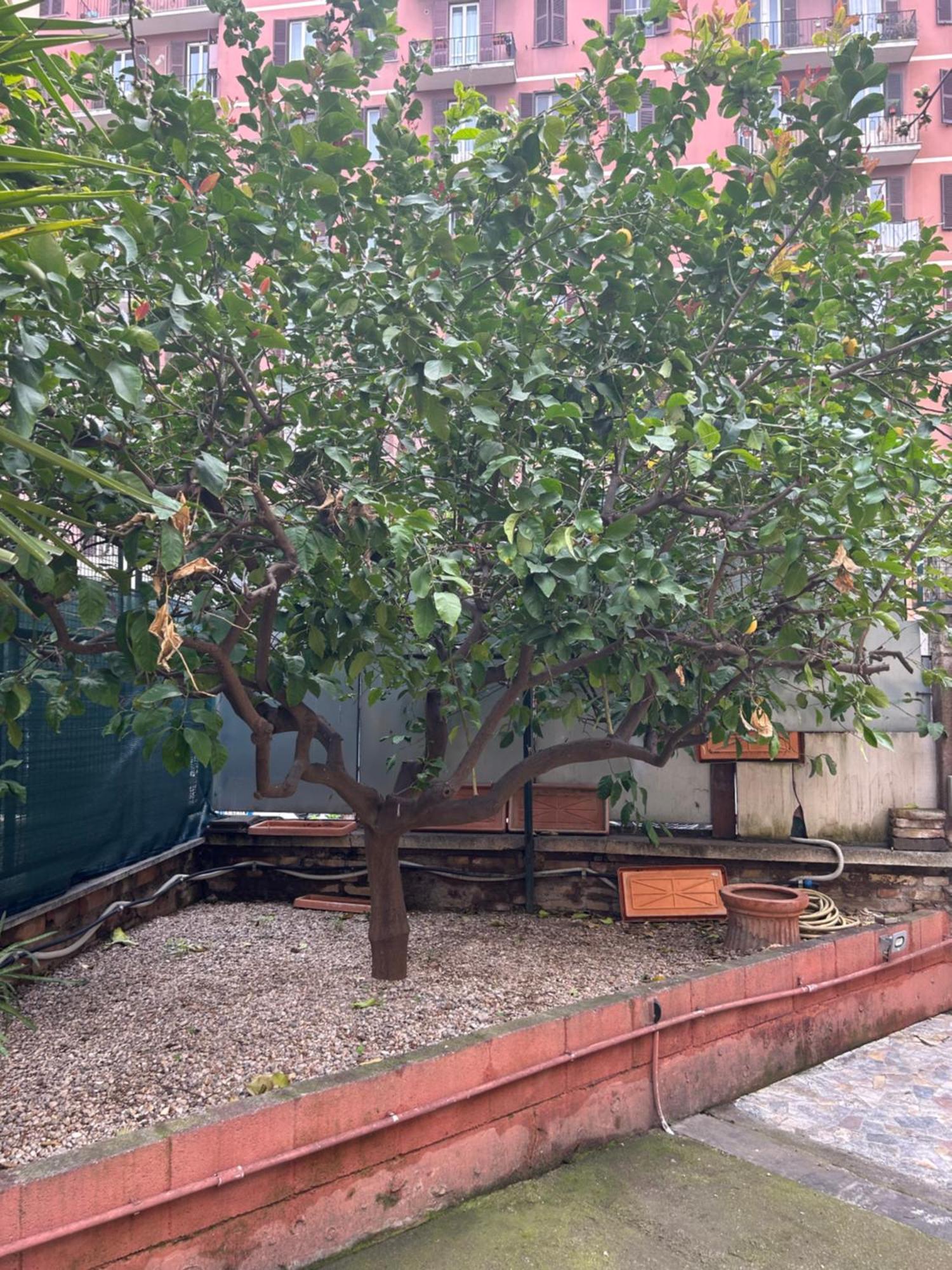 Morgana Сasa de vacaciones Roma